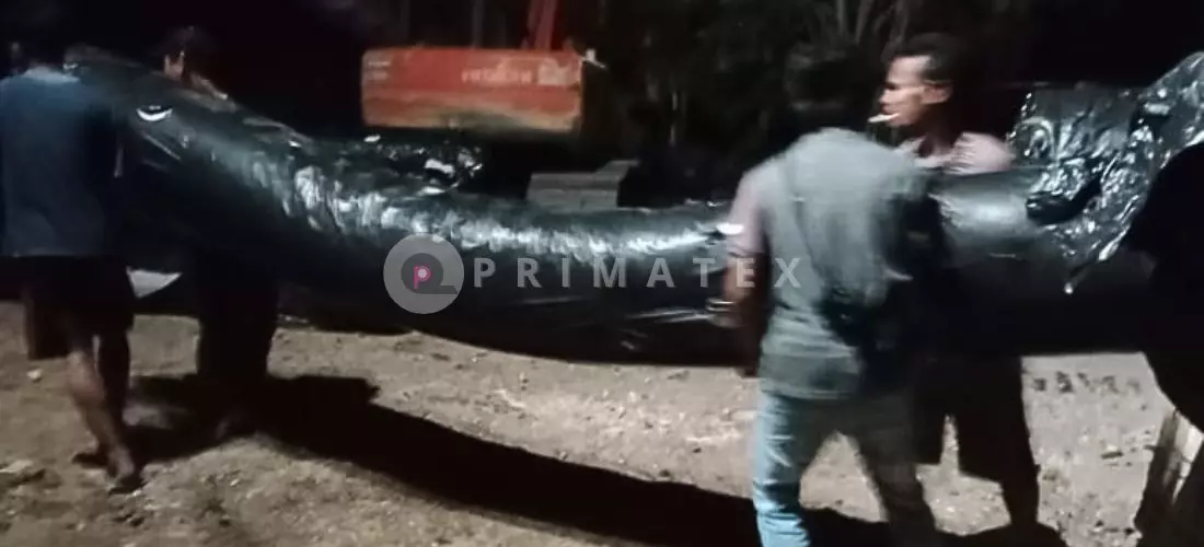 Angkut roll geotextile