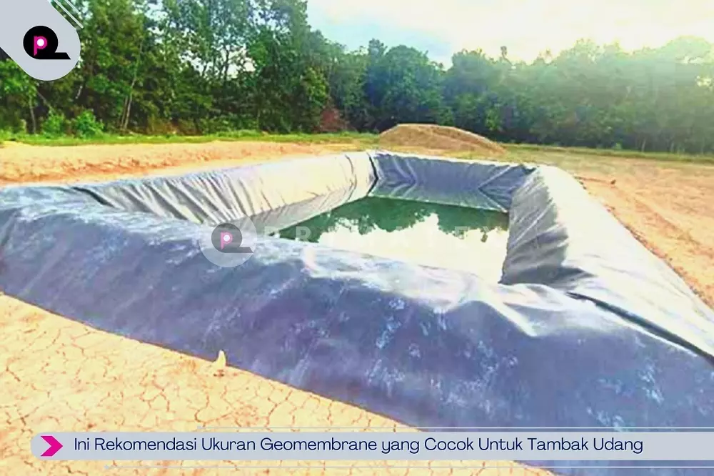 Ini Rekomendasi Ukuran Geomembrane yang Cocok Untuk Tambak Udang