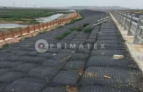 PR GEOGRID BIAXIAL (3)