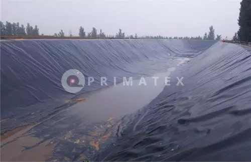 PR GEOMEMBRANE SMOOTH (11)