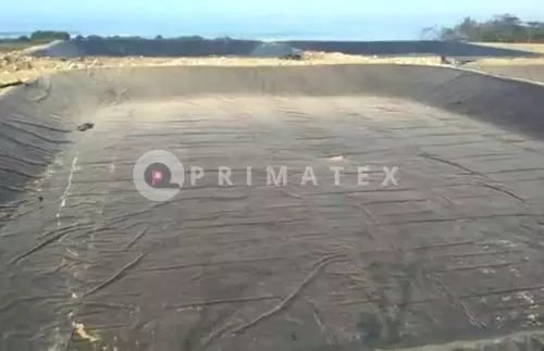 PR GEOMEMBRANE TEXTURED (4)