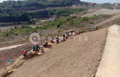 Penanaman Benih Tumbuhan Di Geocell