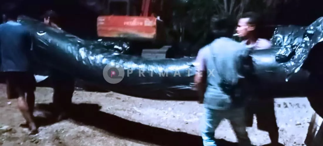 Jual Geotekstil di Kendari_ Solusi Cerdas untuk Proyek Infrastruktur di Sulawesi Tenggara (2)