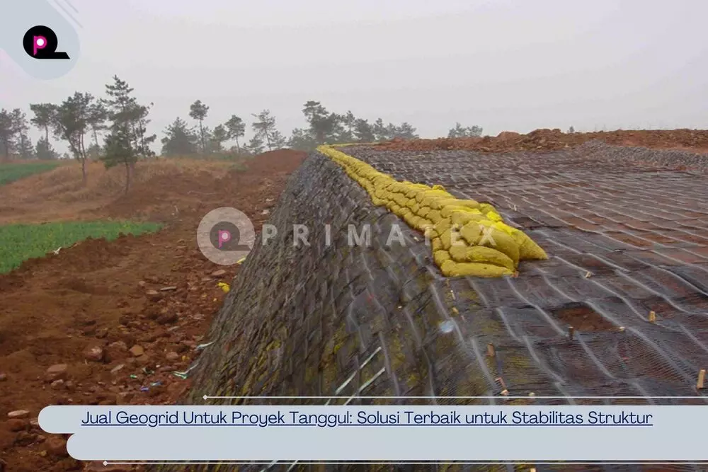 Jual Geogrid Untuk Proyek Tanggul_ Solusi Terbaik untuk Stabilitas Struktur
