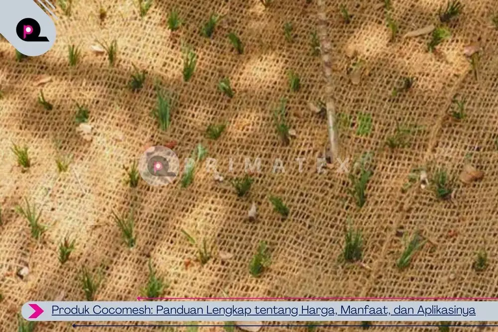 Produk Cocomesh Panduan Lengkap tentang Harga, Manfaat, dan Aplikasinya