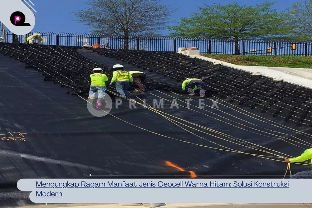 Mengungkap Ragam Manfaat Jenis Geocell Warna Hitam_ Solusi Konstruksi Modern