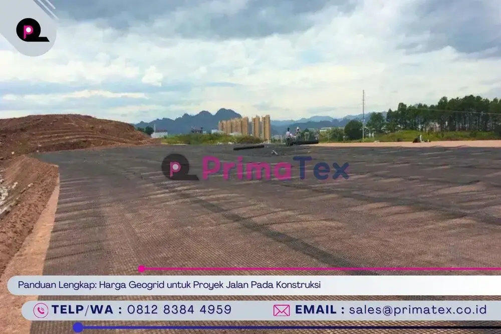 Panduan Lengkap_ Harga Geogrid untuk Proyek Jalan Pada Konstruksi