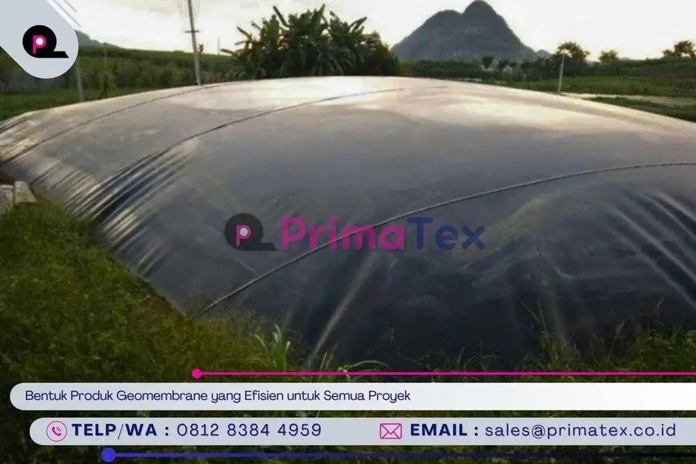 Bentuk Produk Geomembrane yang Efisien untuk Semua Proyek