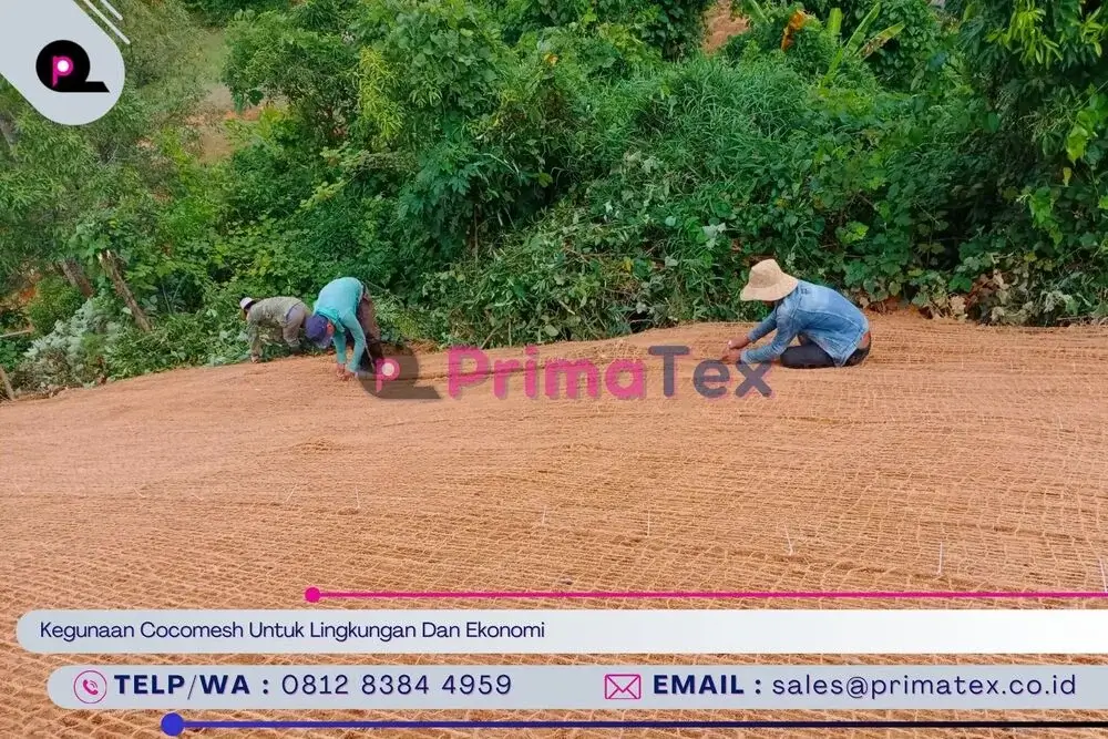 Kegunaan Cocomesh Untuk Lingkungan Dan Ekonomi